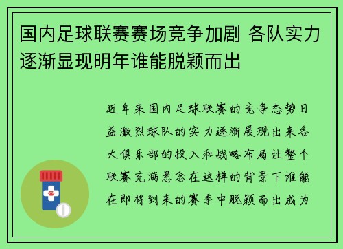 国内足球联赛赛场竞争加剧 各队实力逐渐显现明年谁能脱颖而出